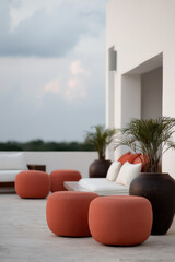 cozy terrace filled with lush green plants designed in wes andersons style