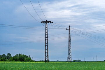 Electricity pylons in cultivated barley field