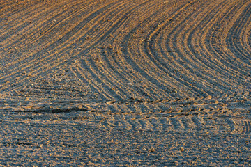 A freshly plowed agricultural field. Preparation of the soil for sowing wheat.