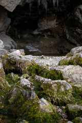 Mossy rocks at the mouth of a cave