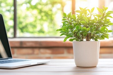 Workspace with laptop and potted plant on desk for remote work and modern office
