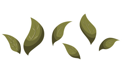 Set of six hand drawn leaves in flat style. Vector collection of green botanical elements for cards, patterns and web. Cartoon stylisation of plants