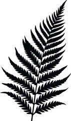 a black and white silhouette of a fern leaf