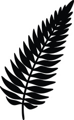 Fototapeta premium a black and white silhouette of a fern leaf