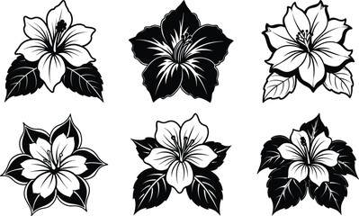 Obraz premium Six Hibiscus Flower Designs Black and White Illustrations,