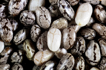 Macro of Chia seeds