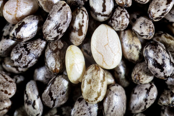 Macro of Chia seeds