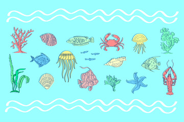 Set of fish, lobster, crab, shells, coral, algae, starfish, jellyfish, hand-drawn ink. Design elements for summer holidays, fashionable prints, labels, covers, menus. Sea,tropical beach, underwater   