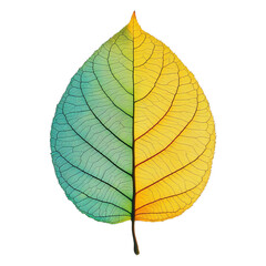 Obraz premium A vibrant leaf, gracefully showcasing a mesmerizing gradient of colors, where blue gently transitions into a golden hue, reflecting a symphony of natural hues.