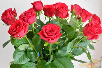 beautiful bouquet of red roses. rose queen of flowers. congratulations on the holiday. gift to your beloved woman. declaration of love, feelings or sympathy