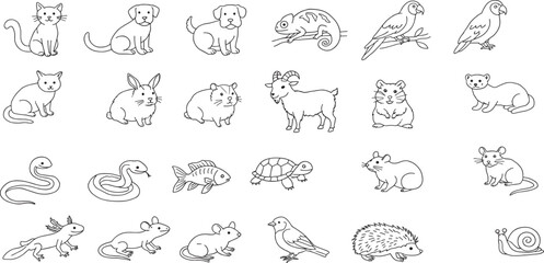 Pets Line Editable Icons set. Vector illustration in modern thin line style of domestic animals related icons: insects, rodents, lizards, exotic animals, and more.