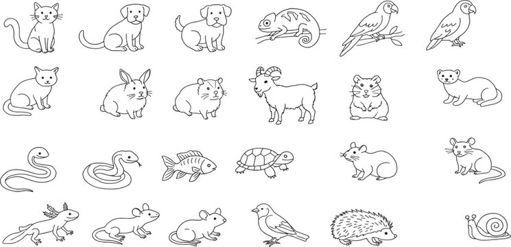 Pets Line Editable Icons set. Vector illustration in modern thin line style of domestic animals related icons: insects, rodents, lizards, exotic animals, and more.