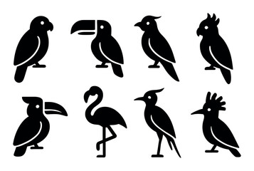 Silhouette icons of exotic birds including parrots, toucan, flamingo, and cockatoo