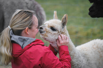 A cheerful woman gently holding a young alpaca outdoors, showcasing care and connection between...
