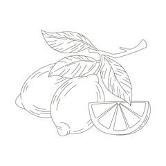 Line art illustration of whole lemons with leaves and a lemon wedge. Clean outline drawing perfect for coloring books, packaging, recipes, and summer designs.