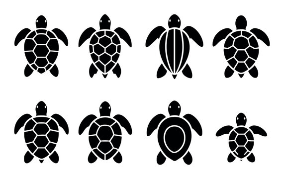 Black silhouettes of diverse turtle shell patterns in row