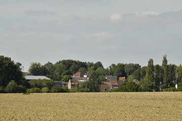 Champs de pommes de terre après semence à Écaussinnes-Lalaing