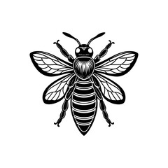 vector illustration of a bee
