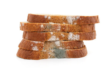 Pieces of moldy bread.