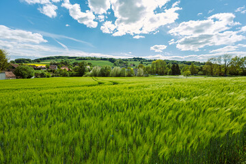 A vibrant green field lays serenely under a bright blue sky filled with fluffy white clouds,...