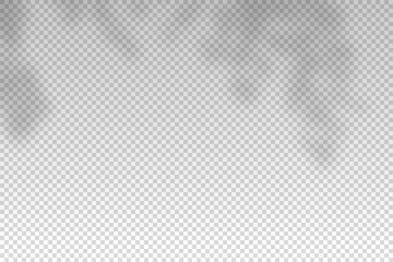 Plants overlay shadow. Reflect light from branches. Sun rays reflection shadows on wall. Reflected shades isolated on transparent background. Horizontal shading design mockup. Vector illustration