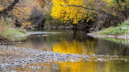 Heron Standing in Shallow Water at Sunset Along Migration Route