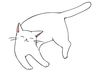 しろねこ リラックス