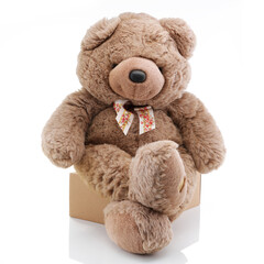 Big brown teddy bear sitting on a box with legs crossed
