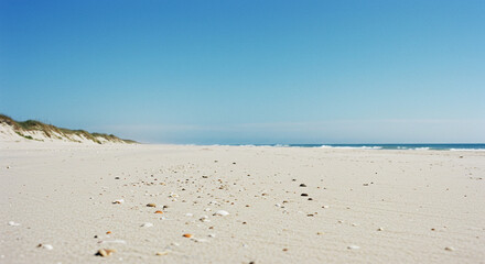 Paisagem de praia tranquila e vazia com peda&ccedil;os de conchas na areia