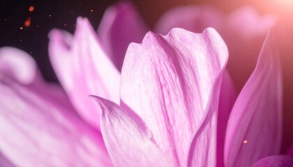 Fototapeta premium Petals in Motion with Cinematic Falling Glow and Vibrant Textures for Floral Background