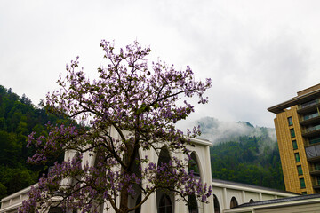 the historic swiss city of bad ragaz
