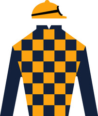 Dark blue and yellow checkered jockey racing jersey garment with helmet and goggles.