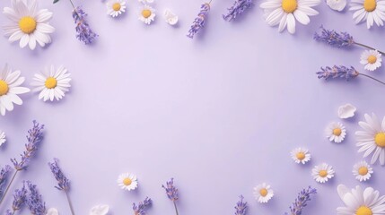Lavender and chamomile flowers frame on purple background.