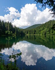 A mountain lake surrounded by dense summer forest, perfectly still water reflecting 