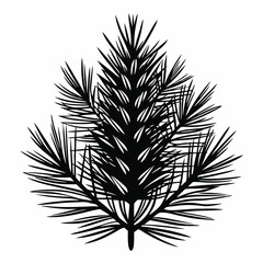 Abstract Black Silhouette of Pine Tree Branch with Needles, Vector Illustration