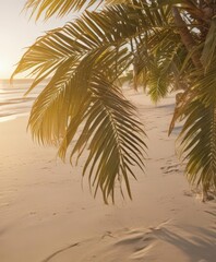 Fototapeta premium Golden hour light on palm fronds, soft sand, tranquil ocean Film texture , texture, warm