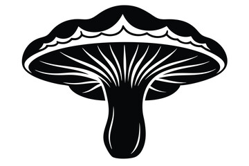 Black and White Illustration of Fungus with Gills and Wavy Edges