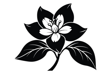Graphic Illustration of a White and Black Flower with Stem and Leaves Design