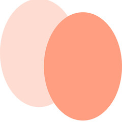 sausage isolated on white