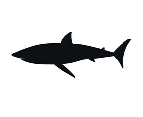 Vector flat hand drawn shark silhouette isolated on white background