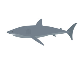 Vector flat hand drawn shark isolated on white background