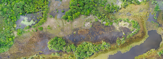 Wetlands nature panorama, Aerial top down view