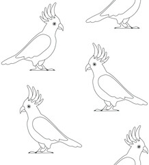 Vector seamless pattern of flat hand drawn outline cockatoo parrot isolated on white background