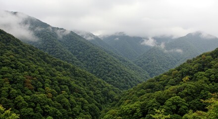 Naklejka premium Lush mountain range serenity and natural beauty, with overcast sky and dense greenery