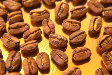 Roasted coffee beans in an oval shape on a reflective gold backdrop, displaying their warm brown shades and subtle textures. Suitable for culinary projects.