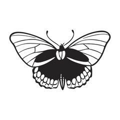 Elegant Black and White Butterfly Silhouette Illustration On A Clean White Background Vector Design