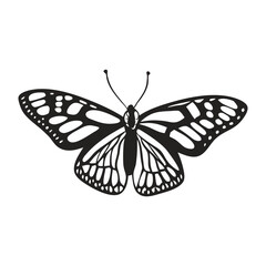 Elegant Black and White Butterfly Silhouette Illustration On A Clean White Background Vector Design
