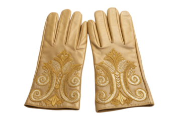 PNG Elegant beige leather gloves with intricate embroidered gold pattern