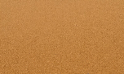 A solitary bird perched on a sandy shoreline, possibly lost or searching for food