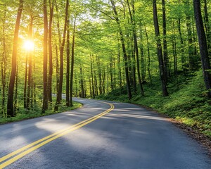 Obraz premium Winding road through a sunlit forest
